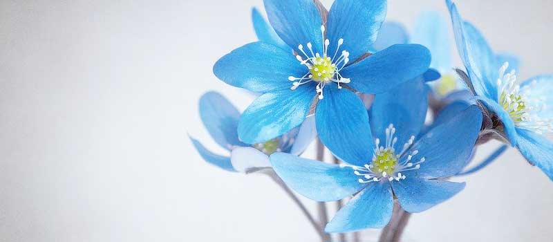 今すぐヤレるギャルは出会い系で探せ@2025年マジ会える神サイト3選0004